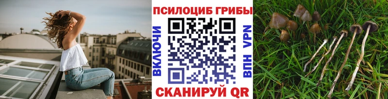 Псилоцибиновые грибы мухоморы  Торопец 
